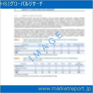 市場と産業調査レポートのイメージ